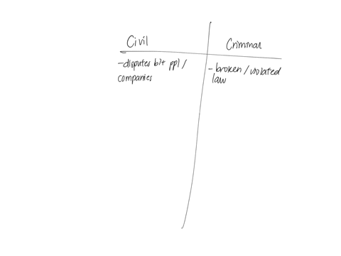 describe-in-detail-the-differences-between-civil-and-criminal-law