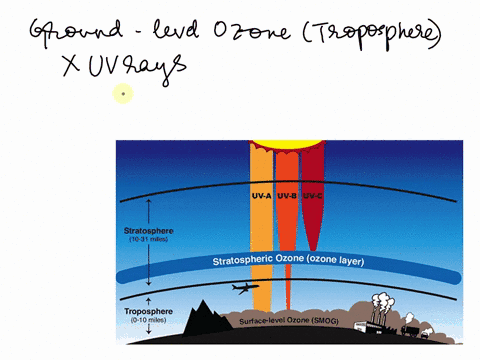 ground-level-ozone-tropospheric-ozone-prevents-much-of-the-harmful-uv-rays-from-reaching-the-earths-surface-true-false-82052