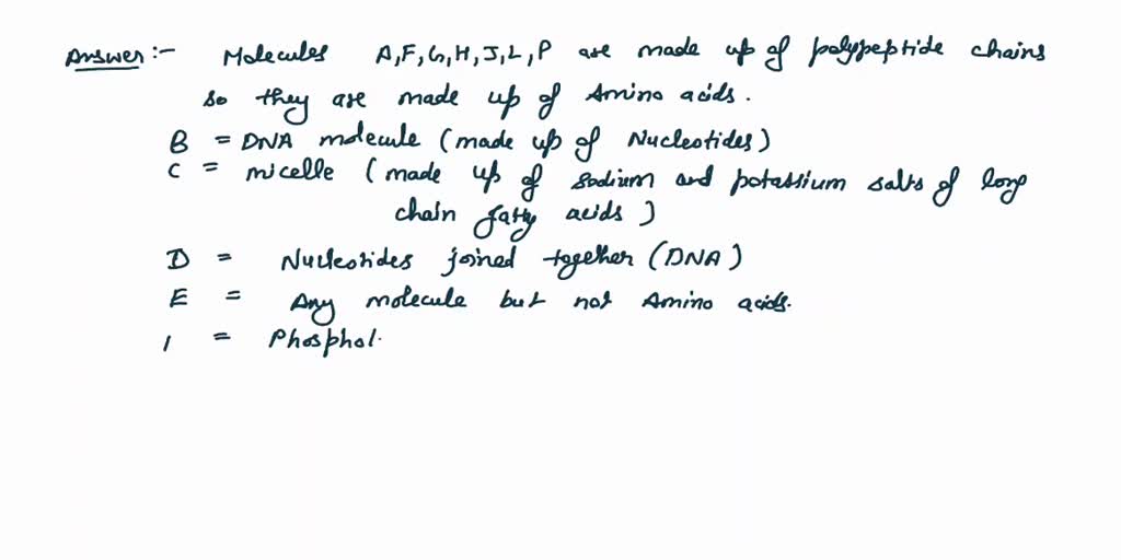 SOLVED: Select all of the molecules that are made primarily of amino ...