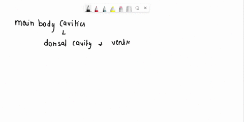 phyelolog-mntuol-a-ntnum-mulc-o-lund-ldn-nucaal-alcuen-mrlaminapchic-at-fratu-mnnnr-ogl-body-cavities-and-regions-the-inside-4-thc-uunn-vleta-md-crlins-mere-ulhin-thc-bock-loue-am-ot-imt-uul-13802