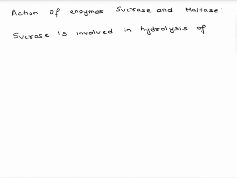 the-sugar-maltose-would-be-digested-by-the-enzyme-sucrase-true-or-false-04145