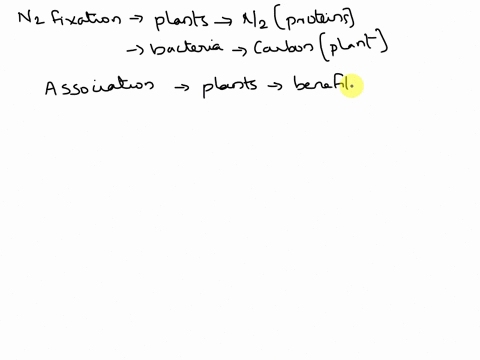 in-nitrogen-fixation-the-plant-obtains-the-nitrogen-it-needs-to-synthesize-proteins-while-the-bacteria-obtain-carbon-from-the-plant-and-a-secure-environment-to-inhabit-within-the-plant-roots-08893