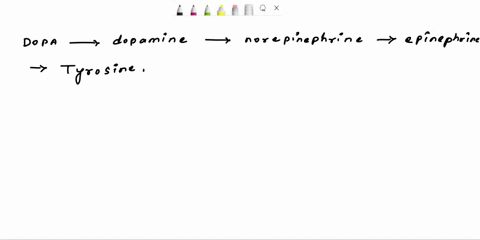 cachcoo-clthcod-chchxl-jdnvoron-dopanmu-ponam-ohh-ksn-epnanhnni-neredtnanhein-10-14-the-pathway-shown-abov-acpicts-the-synthesis-of-thc-catecholaminc-family-of-ncurotrnsmitters-from-tyrosine-28852