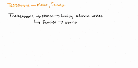 male-sex-hormones-are-produced-in-both-males-and-females-by-the-adrenal-cortex-true-or-false-38956