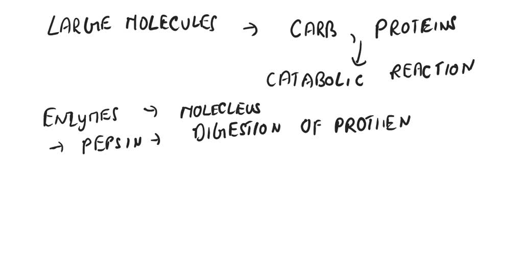 SOLVED: When we ingest large molecules such as lipids, carbohydrates