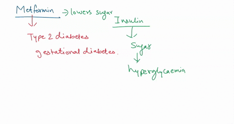 metformin-is-a-drug-used-to-treat-type-2-diabetes-by-increasing-insulin-sensitivity-and-decreasing-blood-glucose-metformin-helps-to-lower-blood-glucose-levels-by-first-elevating-a___________-86663