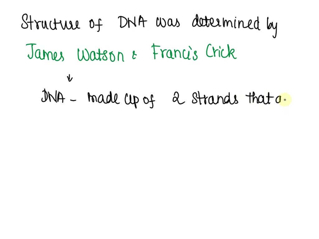 the double helical structure of dna model was discovered by