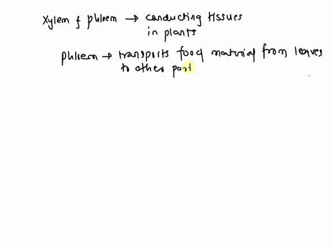 how-does-the-direction-of-transport-differ-in-xylem-and-phloem-97597