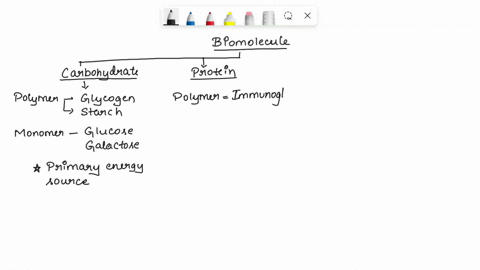 which-biomolecule-provides-cells-with-the-most-energy-per-gram-lipids-proteins-nucleic-acids-carbohydrates-70237