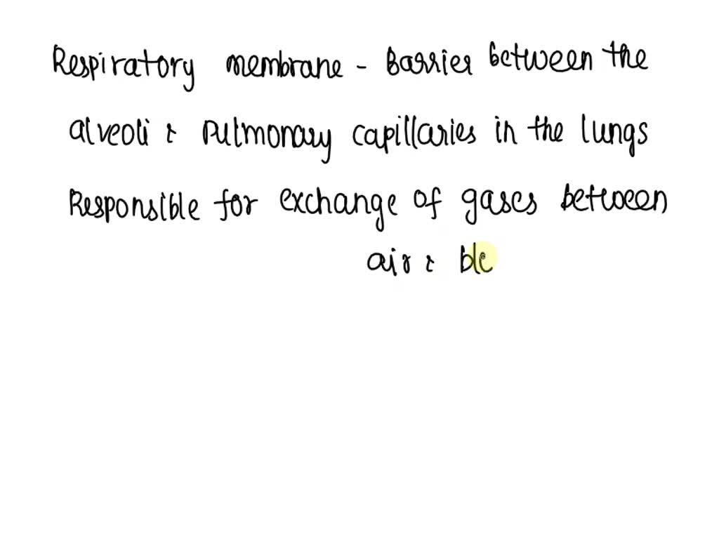 SOLVED: This is a section of human lung stained with H E. The lumen of ...