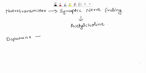 which-neurotransmitter-is-released-at-synaptic-nerve-endings-acetylcholine-o-dopamine-onorepinephrine-o-serotonin-03856