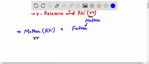 in-humans-rh-factor-in-red-blood-cells-rh-is-the-result-of-one-or-more-autosomal-dominant-alleles-rr-or-rr-individuals-with-blood-cells-lacking-the-factor-rh-are-homozygous-recessive-rr-when-09559