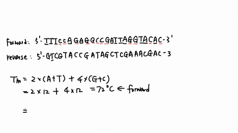 pcr-optimization-lab-writc-up-duc-next-weck-experiment-the-key-components-od-pcr-in-our-lab-experiment-you-will-do-pcr-pcr-optimization-many-fold-higher-be-copied-fonward-and-reverse-primers-75868