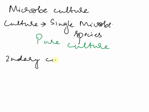 please-match-the-type-of-culture-to-the-statement-that-most-accurately-describes-it-to-test-your-understanding-of-the-different-types-of-cultures-the-type-of-culture-most-frequently-used-in-63292