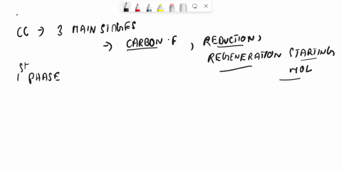 question-30-15-pts-the-process-of-carbon-fixation-takes-the-energy-harvested-in-the-light-cycle-to-generate-molecules-that-go-on-to-be-sugars-in-the-process-of-gluconeogenesis-the-first-step-29051