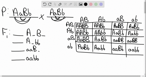 a-in-drosophila-crosses-between-f1-heterozygotes-ofthe-form-a-b-a-b-always-yield-the-same-ratio-ofphenotypes-in-the-f2-progeny-regardless-of-the-distance-between-the-two-genes-assuming-compl-95473