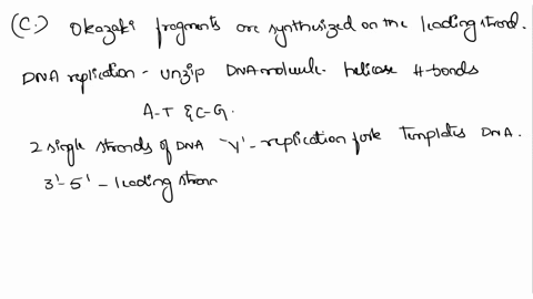 which-of-the-following-is-not-true-of-dna-replication-a-dna-replication-requires-a-primer-rna-b-dna-replication-of-chromosomal-dna-is-bidirectional-cokazaki-fragments-are-synthesized-on-the-28201