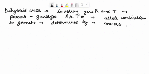 in-a-dihybrid-cross-involving-genes-r-and-t-one-of-the-parents-has-the-genotype-rrtt-list-the-allele-combinations-that-are-possible-in-the-gametes-draw-and-complete-the-punnett-square-for-th-12556