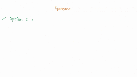 the-genome-size-of-ecoli-is-approximately-5x106-bp-and-can-be-replicated-in-30-minutes-the-human-genome-size-is-3x109-bp-about-600-times-larger-and-should-take-300-hours-13-days-to-replicate-65727