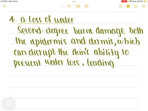 4-a-second-degree-burn-extends-through-the-epidermis-and-linto-the-dermis-when-treating-a-patient-with-a-second-dogree-burn-which-of-the-following-is-a-concern-in-addition-to-the-damage-to-the-thin-a