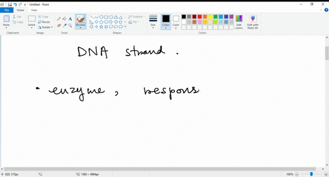 question-14-which-of-the-following-pairs-is-mismatched-not-yet-answered-marked-out-oflco-topoisomerase-_-corrects-overwinding-flagquesoon-dna-polymerase-makes-molecule-0f-dna-from-a-dna-temp-94562