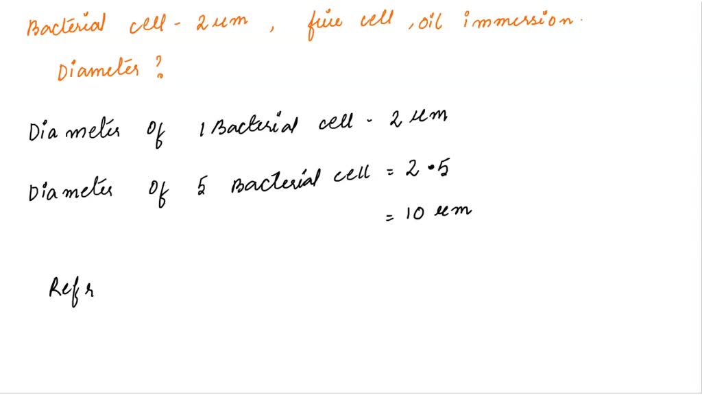 SOLVED Suppose typical bacterial cell is micrometers (um) in diameter