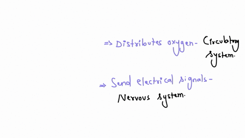 match-the-organ-system-to-its-description-distributes-oxygen-and-nutrients-to-the-body-sends-electrical-signals-and-controls-other-systems-sends-electrical-signals-and-controls-other-systems-exchanges