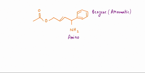what-functional-groups-exist-in-the-following-molecule-ether-alkene-ketone-amine-benzene-b-aldehyde-alkane-amide-benzene-carboxylic-acid-alkyne-amide-aromatic-ester-alkene-amine-aromatic-nhz-91595