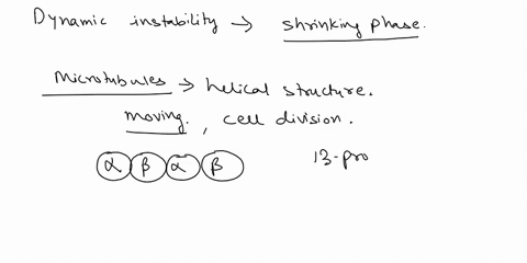 dynamic-instability-causes-microtubules-either-to-grow-or-to-shrink-rapidly-consider-an-individual-microtubule-that-is-in-its-shrinking-phase-what-would-happen-if-only-gtpgammas-but-not-gtp-31447