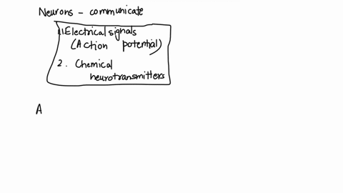 explain-how-neurons-communicate-include-a-description-of-the-action-potential-and-how-the-action-potential-is-converted-into-a-chemical-signal-that-is-received-by-the-postsynaptic-neuron-the-32052