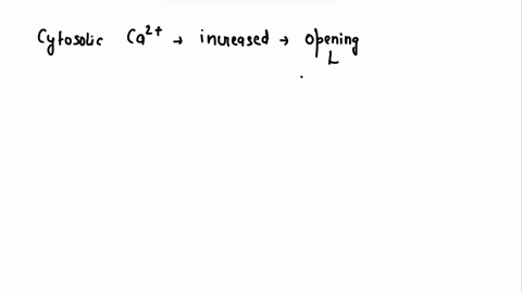 ionlzed-calcium-an-imporant-second-messcngcr-great-varlety-cellular-responses-stimul-botn-chemical-and-electrical-review-one-signaling-pathway-which-caz-acls-as-second-messenger-by-correctly-71599