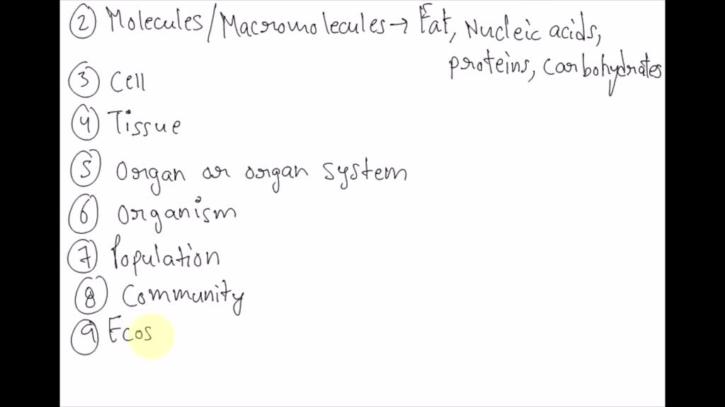 SOLVED Consider the levels of organization of life (1. Atoms 2. Molecules and Macromolecules 3