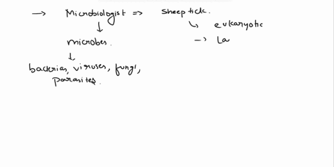 zika-this-eukaryote-is-of-lesser-interest-to-microbiologist-compared-to-the-others-sheep-tick-pork-tapeworm-zikavirus-eastern-cicada-killer-17898