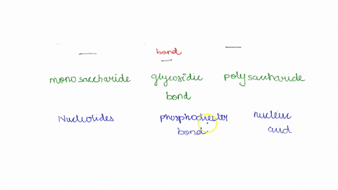 are-monomers-that-are-linked-together-to-form-polymers-called-amino-acids-nucleic-acids-starches-disaccharides-proteins-amino-acids-nucleotides-proteins-nucleotides-nucleic-acids-nucleotides-77762