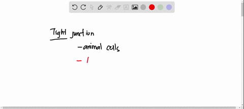 tight-junctions-are-cell-cell-junctions-found-between-adjacent-cells-of-the-epithelium-that-lines-the-small-intestine-what-is-the-function-of-these-cellular-junctions-a-to-attach-epithelial-69182