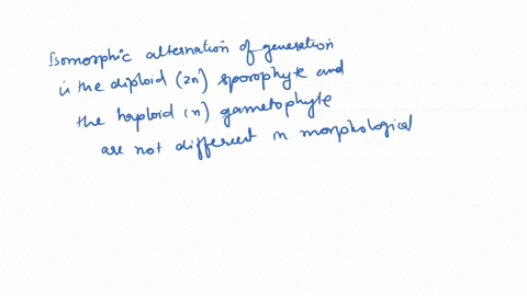 what-is-the-difference-between-isomorphic-and-heteromorphic-alternation-of-generations-44107