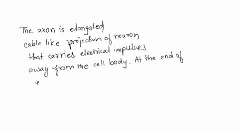 what-portion-of-a-neuron-is-able-to-release-neurotransmitters-select-one-a-axon-b-dendrites-c-cell-body-d-synaptic-cleft-28831