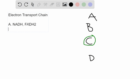 question-8-1-point-saved-the-primary-role-of-oxygen-in-cellular-respiration-is-to-o-a-donate-high-energy-electrons-to-the-electron-transport-chain-b-combine-with-acetyl-coa-forming-pyruvate-02963