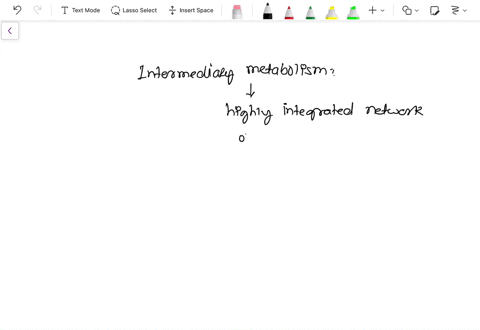 what-is-meant-by-intermediary-metabolism-83628