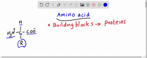 there-are-22-different-types-of-amino-acids-what-pat-of-each-amino-acid-is-different-from-the-others-a-carboxyl-group-b-amino-group-c-side-group-d-phosphate-group-01426