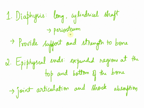 the-femur-is-a-typical-example-of-a-long-bone-describe-the-structure-of-the-femur-diaphysis-and-the-epiphyseal-ends-explain-why-it-makes-structural-sense-for-the-bone-to-be-constructed-in-th-81396