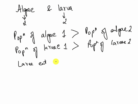 q5-the-graph-below-presents-population-sizes-in-an-experimental-freshwater-stream-with-two-species-of-algae-and-two-species-of-aquatic-insect-larvae-that-eat-the-algaewhich-of-the-following-05063