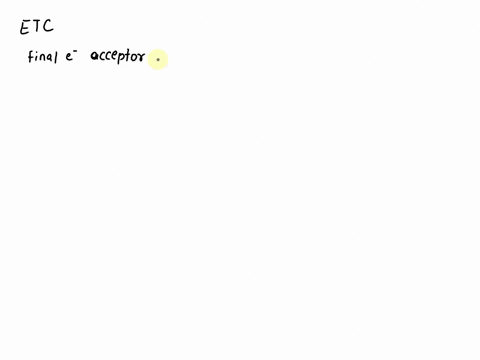 during-respiration-the-final-molecule-that-accepts-electron-from-the-electron-transport-chain-is-water-oxygen-carbon-dioxide-light-53812