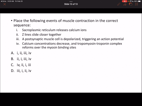 place-the-following-events-of-muscle-contraction-in-the-correct-sequence-sarcoplasmic-reticulum-releases-calcium-ions-z-lines-slide-closer-together-postsynaptic-muscle-cell-is-depolarized-tr-87085