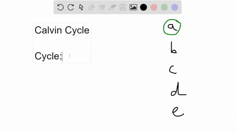the-term-cycle-is-used-to-describe-the-calvin-cycle-because-the-process-begins-and-ends-with-rubp-co2-is-fixed-the-same-reactions-occur-every-time-glucose-is-synthesized-during-the-process-t-62522