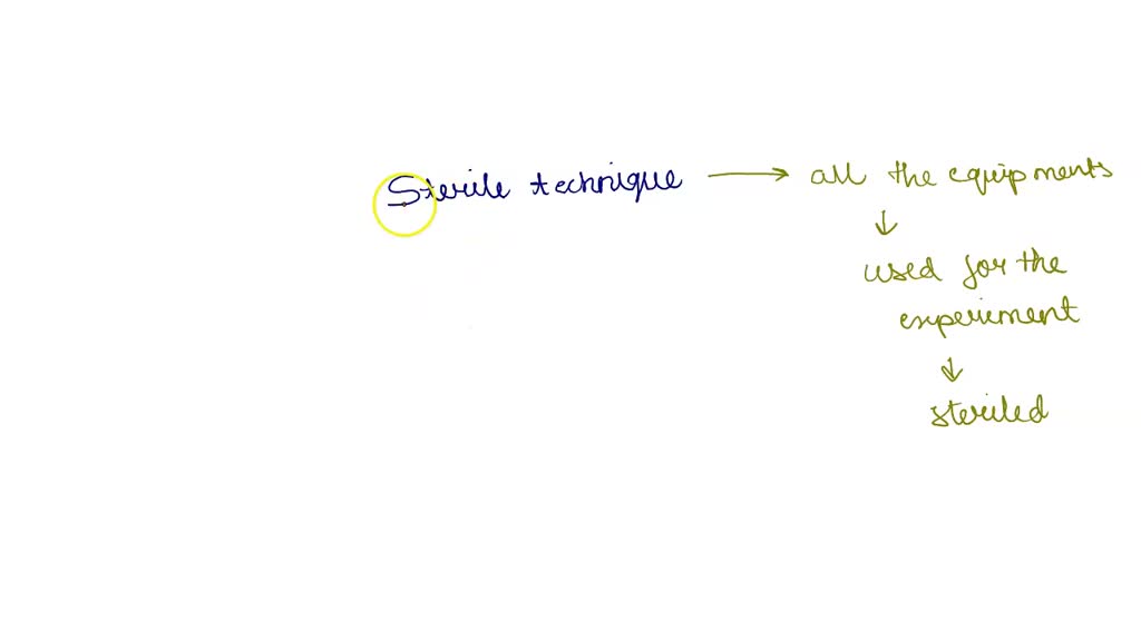 SOLVED Description 1) Why is sterile technique important? 2) In which