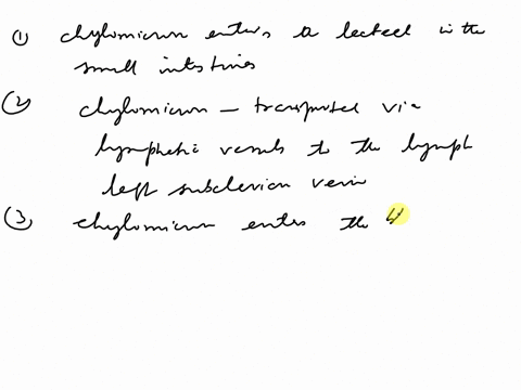 lacteals-are-specialized-capillaries-found-in-the-small-intestine-that-absorb-dietary-fat-fats-enter-the-lacteal-as-lipoprotein-complexes-called-chylomicrons-which-are-then-transported-via-l-80813