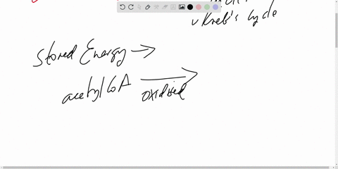 the-reactions-of-the-citric-acid-cycle-are-oxvgen-dependent-and-lead-to-the-production-of-2-co2-molecules-when-oxidizing-acetyl-coa-cannot-accomplish-the-net-synthesis-of-oaa-from-the-amino-75337