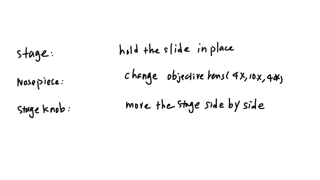 SOLVED Match the part of the microscope with its use. Drag and drop