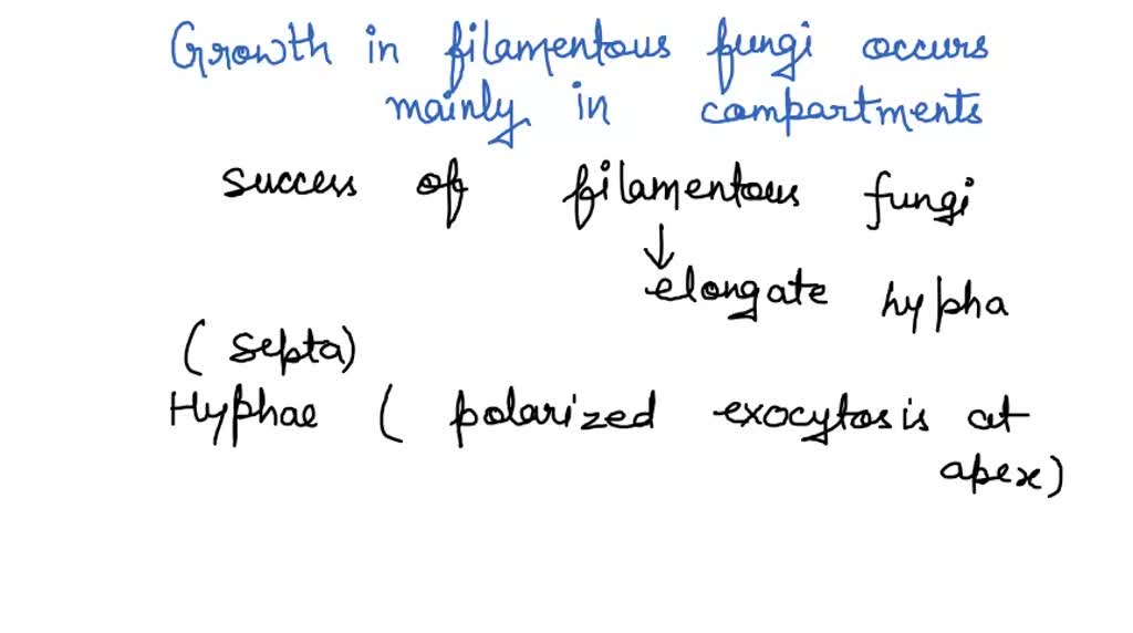 SOLVED QUESTION 19 Growth in filamentous fungi occurs mainly In compartments behind the hyphal
